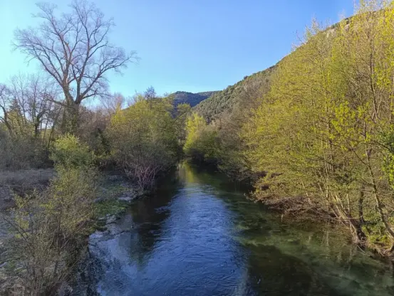 Un cours d'eau entre ses rives arborées. Sur la gauche, un grand arbre aux branches dénudées par l'hiver. En second plan, un petit massif. Le ciel est bleu sans l'ombre d'un nuage.