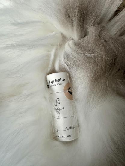 Photo 3
A closeup shot of my cardboard tube of natural lip balm, nestled in the luxuriously fuzzy belly fur of Thor, a grey and white half-Ragdoll cat. His fur is almost too long to showcase beauty products.