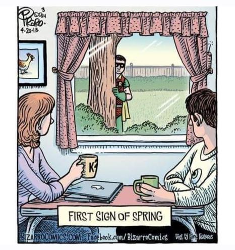 A couple are sitting at a small breakfast nook, sipping coffee and looking out the window. Outside, peeking out from behind a tree, is Batman's partner, Robin the Boy Wonder.

Meme text reads, "First Day of Spring."


Copyright: 
BIZARROCOMICS.COM
Facebook.com/BizarroComics
Dissy Features
