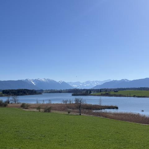 Blick über eine Wiese und einen See in Richtung Berge bei blauem Himmel
