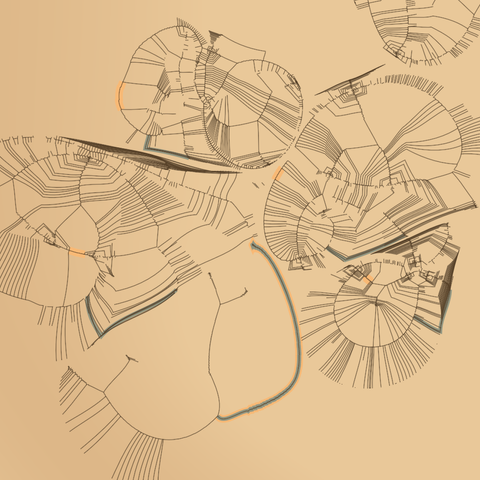 Code generated design made out of a few non-overlapping shapes, which are made out of hundreds of non-crossing curves curves. The lines obviously follow rules, but the rules are not obvious. There seem to be core lines, and other lines emerging from those. Very few curves are highlighted with two different colors. The color palette was sampled from old maps.

This version shows a close up of about 7 or 8 shapes, some of them cropped on the edges of the window.
