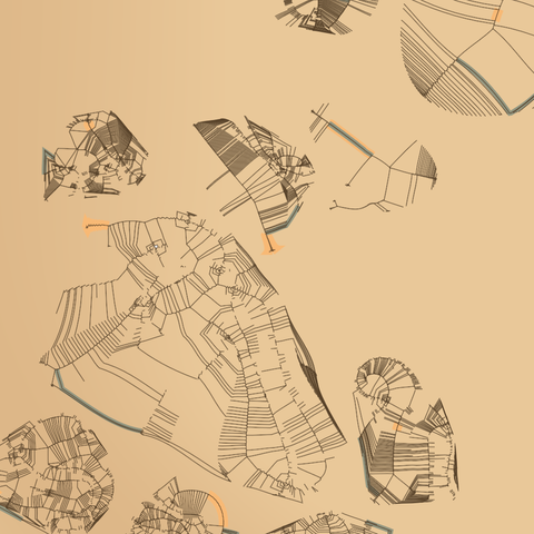 Code generated design made out of a few non-overlapping shapes, which are made out of hundreds of non-crossing curves curves. The lines obviously follow rules, but the rules are not obvious. There seem to be core lines, and other lines emerging from those. Very few curves are highlighted with two different colors. The color palette was sampled from old maps.

The shape are of different sizes. One larger and others smaller.