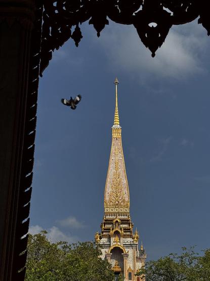 Tower of Wat Chalong in golden sunlight. An ornamental passageway in the foreground. A dove getting ready to land on top of it.