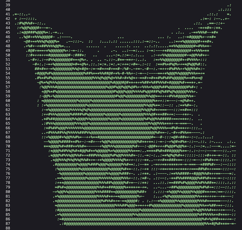 Source code view of a website showing a big green ASCII art cat written in the HTML comments