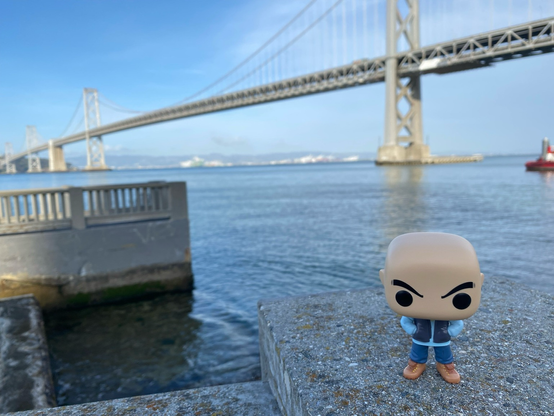 Cal under the Bridge