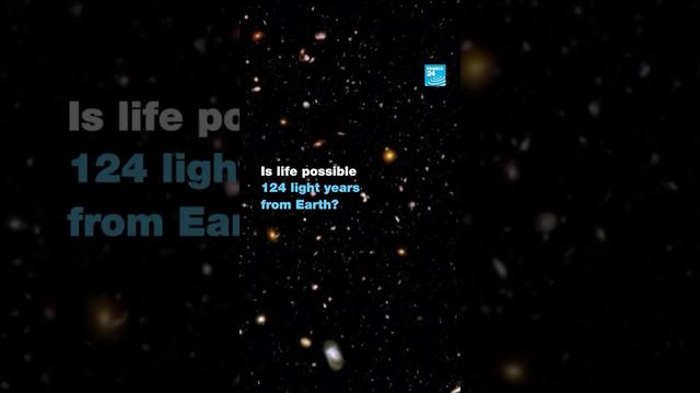 Could there be extraterrestrial life on another planet? • FRANCE 24 English