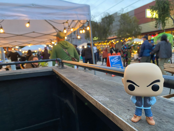 Cal at Cole Valley Fair