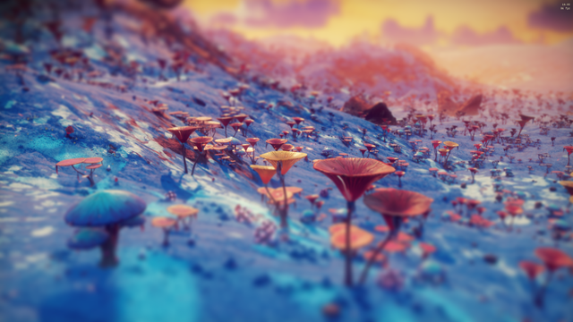 Image from No Man's Sky: Featured Screenshot by Smażony Grzyb