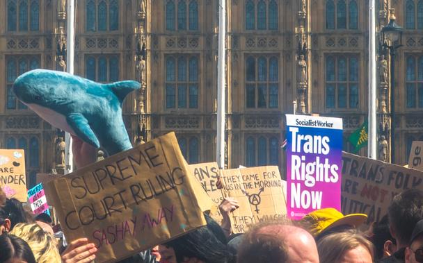 Various protest signs and a blahaj cuddly shark are in front of the Houses of Parliament. Some of the signs read 
"Supreme court ruling Sashay away"
"They came for us in the morning They will come for you at night" 
"Trans rights now"