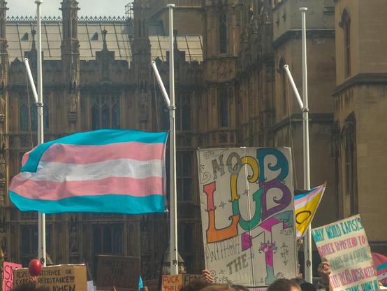 A trans flag flies in the wind outside the Houses of Parliament, next to it is a protest sign saying "No LGB without the T"