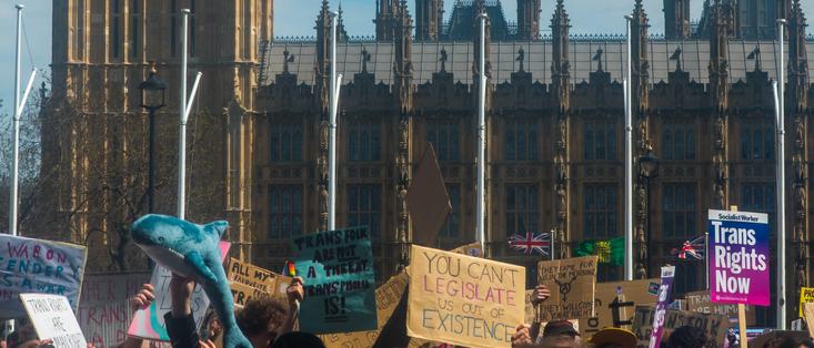 Many protests signs and a blahaj cuddly shark are raised in front of the houses of parliament.
