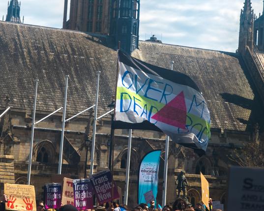 Outside the houses of parliament a flag reads "Over my dead body"
Below it are other protest signs - several reading "Trans rights now" and one "Harry Potter and the Blood of Trans Youth" with red handprints.