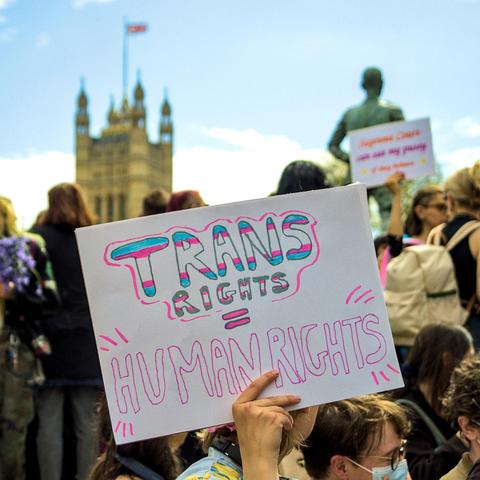 "Trans rights = human rights". A sign held up by a protester in Parliament Square on 2025.04.19 during a protest by those in support of trans rights following the judgment of the UK Supreme Court on the definition of "woman" in the context of the UK's Equality Act 2010.