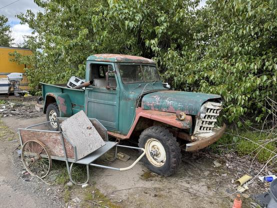 An old, rusty green pickup truck with a faded paint job and a worn-out front grille is parked next to a metal wheelbarrow. The truck is partially obscured by lush greenery, with surrounding debris and discarded items visible in the background.