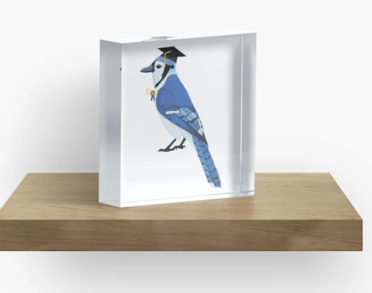 Our blue jay mascot is graduating!