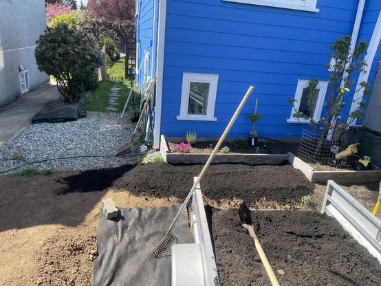 A picture from the front of the trailer, looking back toward the newly found level of brown dirt on top the light brown clay. There is a shovel on the rake.
