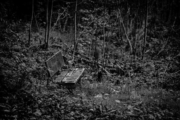 Schwarzweißfotografie einer Sitzbank, von Moos bedeckt. Fotografie: Frank Schindelbeck