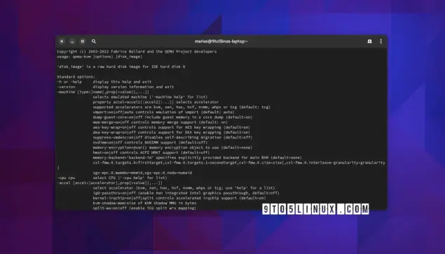 Screenshot of QEMU's command line output.