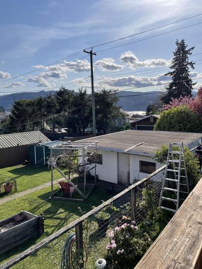 A view from our deck back down toward the location of the plum.