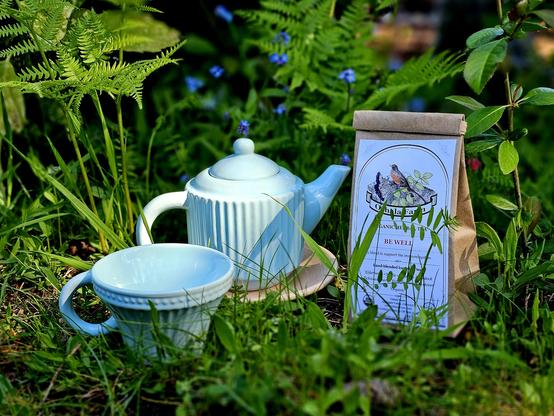 Outdoor tea tableau in a ferny dell sprinkled with Forget-Me-Not flowers. There is a small mint green teapot & teacup set and a brown paper bag of herbal tea called Be Well from Oshala Farm in Oregon