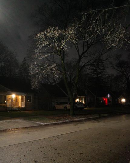 Color photograph of a suburban streetscape at night, looking diagonally across a street where a bright streetlight illuminates the road and catches bare branches stretched out above the road so they appear like white scratches against the dark shadows of trees and houses down the street