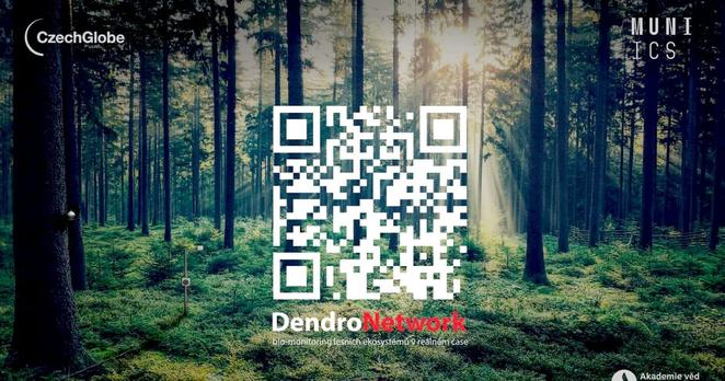 New network tracks the health of trees across Czechia’s forests
