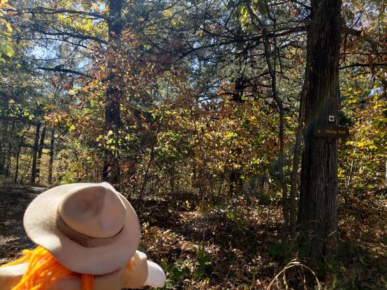 Ranger Sarah hikes past another trail sign as she finishes the Fire Tower Trail.
— at Roaring River State Park, Missouri.