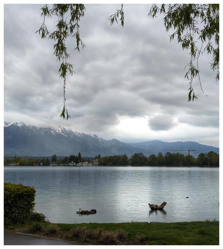 A lake, shore green with grass and trees. Low and gray rain clouds.