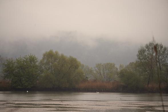 Im Vordergrund ein See, dann eine Reihe Bäume. Im Hintergrund ein von Nebelschwaden verdeckter Berg. Insgesamt ist alles etwas grau und dunkel. Auf dem See sind sehr klein zwei weiße Schwäne zu sehen.