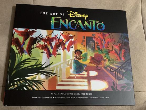 The art book : The art of Disney’s Encanto.
The cover shows a concept painting of Mirabel, in a very animated room , in warm hues.