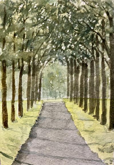 A paved path stretches straight ahead, flanked on both sides by tall, evenly spaced trees whose branches arch overhead to form a natural tunnel that fades into a misty distance.
