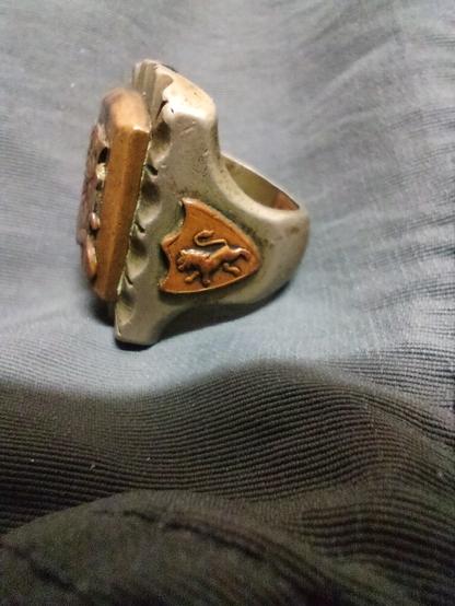 side view of (possibly brass) ring showing a brownish shield with an embossed lion.  The opposite side is the same.