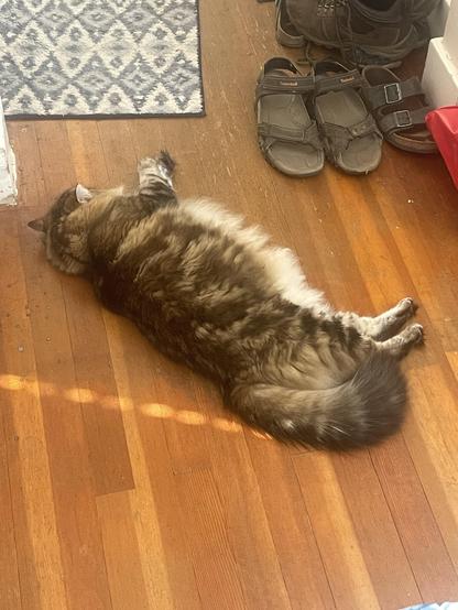 A large fluffy tabby cat lays on his side with his feet straight out on a wooden floor. There are some shoes nearby.