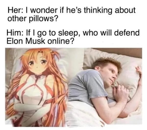 meme of the pillow girlfriend and boyfriend, but the girlfriend is a pillow with the form of an anime girl. 

Text:
Her: I wonder if he's thinking about other pillows 
Him: if I go to sleep, who will defend Elon musk online?