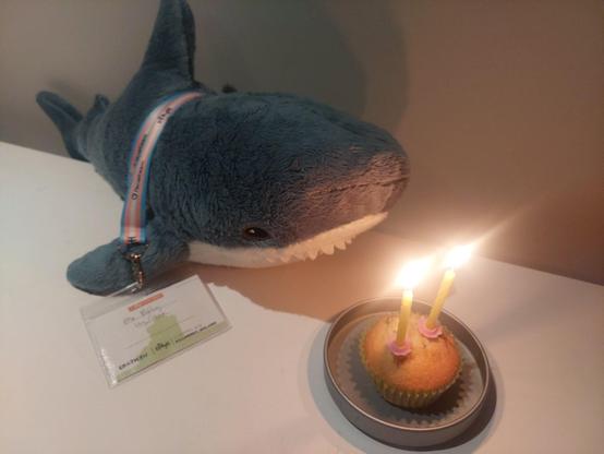 Mx. Blåhaj getting ready to blow out two lit candles on top of a queen cake.