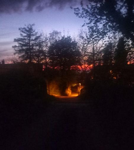 Surprising image of an ensemble of trees with their outlines contrasting the sky, the central tree appears to have an "underground" cave or tunnel at it's roots, which is an impression generated by an elevated viewpoint superpositioning a light and an overgrown walkway just below the tree on a hill, resulting in this interesting composition