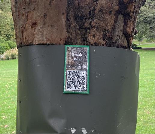 A sign on a tree with a QR code that says brush box scan to chat