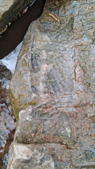 Close up of a rock. In the center, the texture changes to a smoother repeating pattern a little bit like the surface of a pineapple. Or fish scales. This texture is about 20cm wide and goes across the rock in a strait line of constant width.