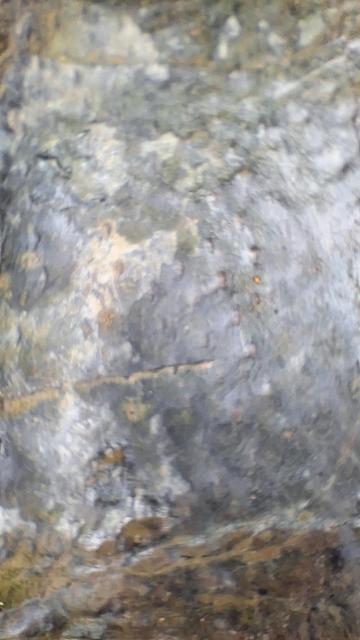 Even closer Close up of a rock, a bit blurry. We only see the pattern resembling surface of a pineapple. Or fish scales.