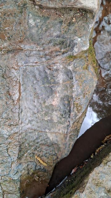 Close up of a rock. In the center, the texture changes to a smoother repeating pattern a little bit like the surface of a pineapple. Or fish scales. This texture is about 20cm wide and goes across the rock in a strait line of constant width. Very similar photo to the first one.