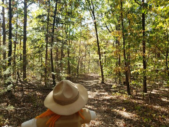 Ranger Sarah hikes through the forest at the Little Sac Woods Conservation Area.
— at Little Sac Woods Conservation Area, Missouri.