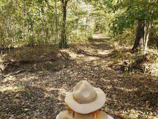 Ranger Sarah hikes down the Oak/Hickory Trail. Approximately 90 percent of Little Sac Woods Conservation Area is forested.
— at Little Sac Woods Conservation Area.
