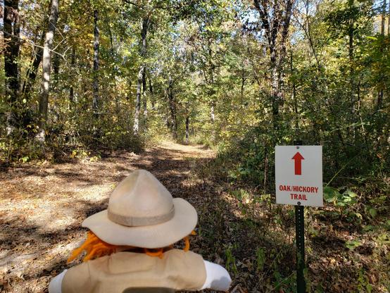 Ranger Sarah is on the Oak/Hickory Trail in the Little Sac Woods Conservation Area.
— at Little Sac Woods Conservation Area, Missouri.