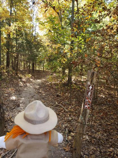 Ranger Sarah starts down the trail at Little Sac Woods.
— at Little Sac Woods Conservation Area, Missouri.