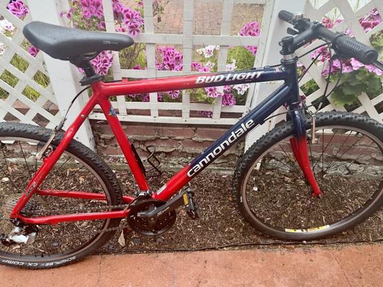 The pope had one last gift to the world, granting me my grail project bike #blessed