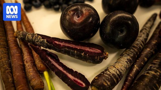 Could this Aussie purple plum hold the key to preventing dementia?