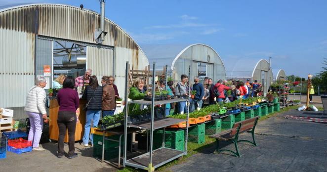 Bischheim. Fleurs, légumes… la ferme solidaire a ouvert ses portes