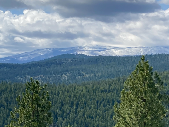 Across multiple ridges of evergreens, a snow covered mountain is engulfed in a snowstorm, the clouds having obscured its summit, yet the closest trees are in the sun, which was to the left.