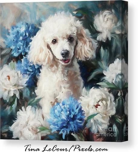 This is a canvas of a sweet white poodle named Penny posing in some blue and white peony flowers.