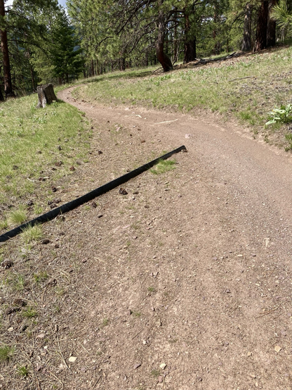 Amidst lightly forested terrain, a plastic barrier for channeling runoff appears absurdly out of place to the left of the trail.